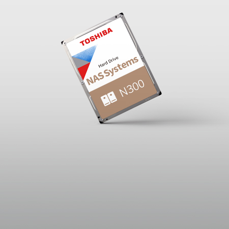 N300 NAS Hard Drive